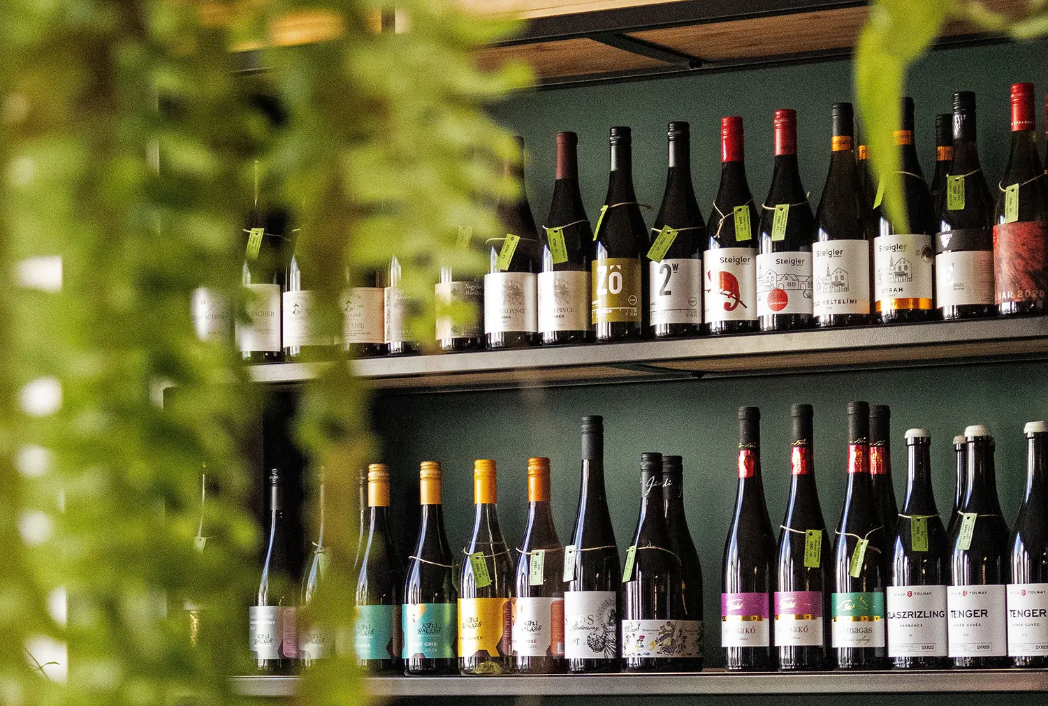 Photo d'illustration de bouteilles de vins de la boutique Roi des Vins au Patio de Faulquemont